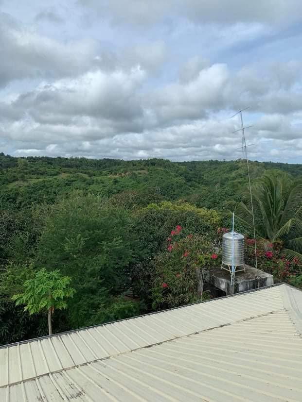 22hectare Farm lot in Guimaras, Property, For Sale, Lot on Carousell
