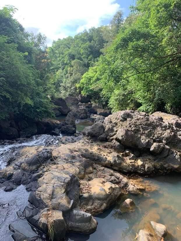 22hectare Farm lot in Guimaras, Property, For Sale, Lot on Carousell