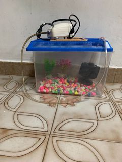 (Category: ) located in . Submitted by vinayblacktiger (Listing ID 1184825863, Image 1). Description: .