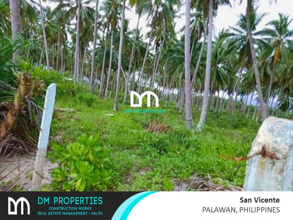 For Sale Long Beach in San Vicente, Palawan, Philippines, Property