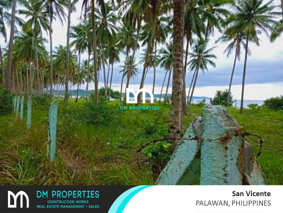 For Sale Long Beach in San Vicente, Palawan, Philippines, Property