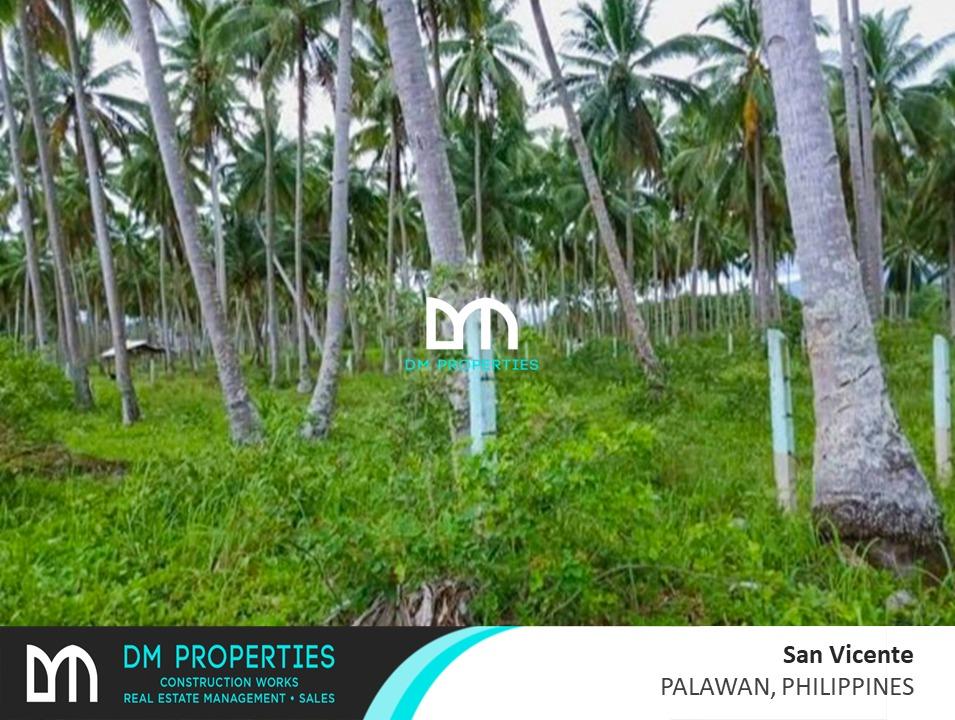 For Sale Long Beach in San Vicente, Palawan, Philippines, Property