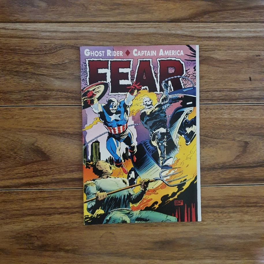 Ghost Rider and Captain America - FEAR, Hobbies & Toys, Books ...