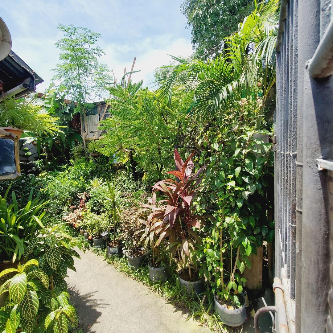 house-and-lot-for-sale-loft-type-house-property-for-sale-house