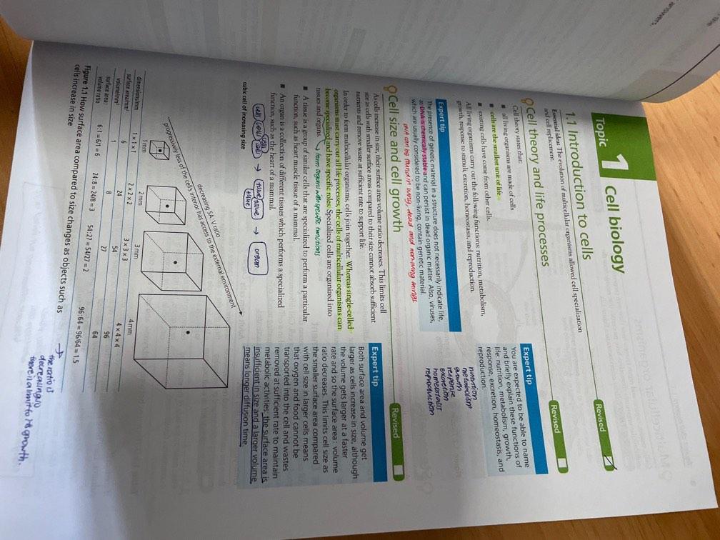 IB Diploma - Biology Study and Revision Guide, Hobbies & Toys, Books ...