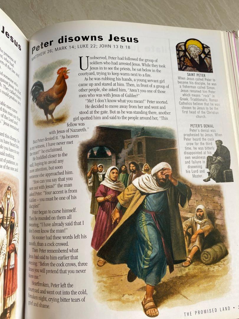 Illustrated family bible stories, Hobbies & Toys, Books & Magazines ...