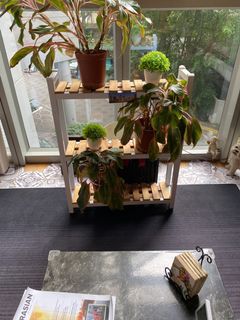 (Category: ) located in . Submitted by edrez (Listing ID 1184747854, Image 1). Description: .