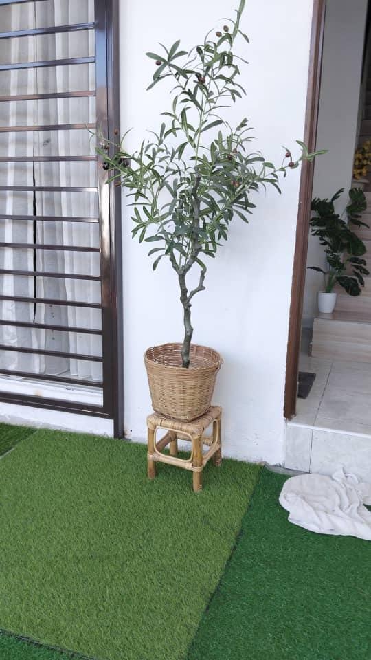 Premium Olive Tree, Furniture & Home Living, Home Decor, Artificial