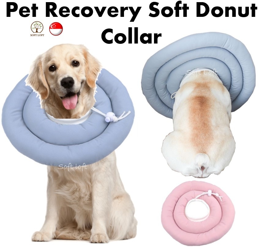 [SG STOCK] Pet Elizabethan Collar For Small Animals Dog And Cat