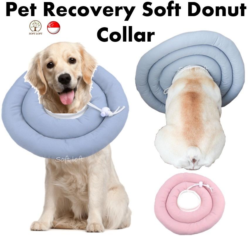 SG STOCK Pet Elizabethan Collar For Small Animals Dog And Cat Kitten Puppy Cone Collar Pet Recovery Post surgery