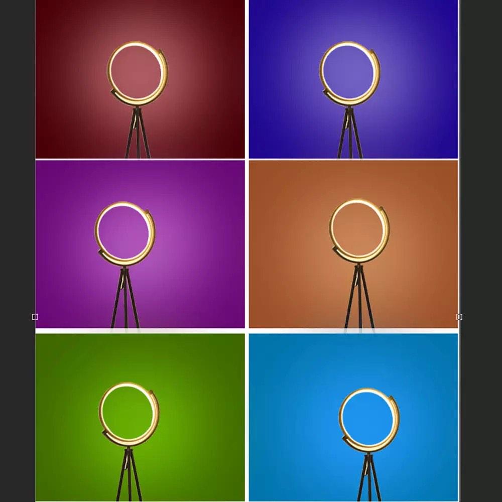 Tall Tiktok Modern and unique Ring Floor Lamp (Category: Lighting) located in Quezon City. Submitted by julia.flower (Listing ID 1184882871, Image 2). Description: Rgb lightning and has a remote!.