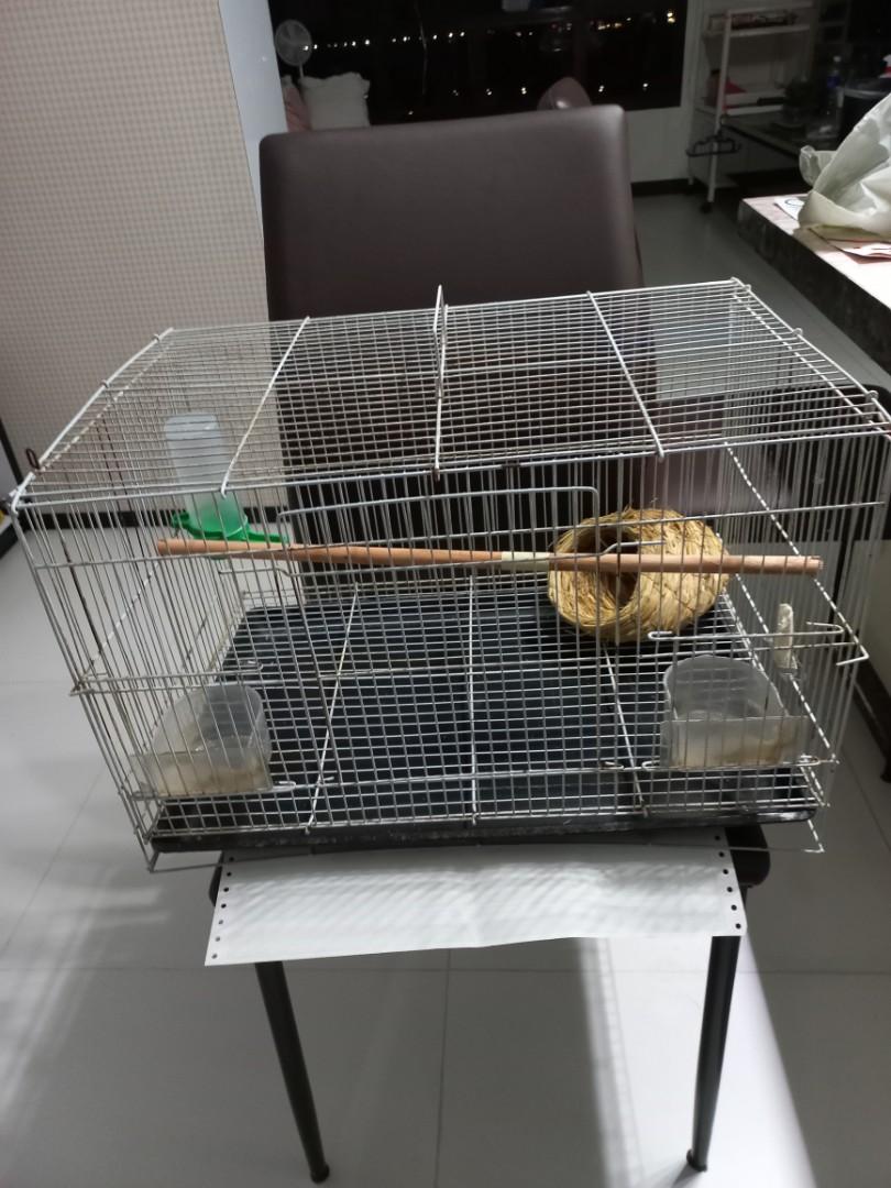 ferplast gabry 80 gerbil cage