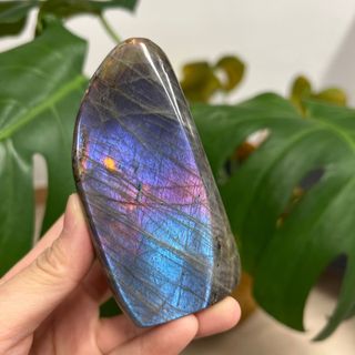 （分類：）位於 。 由 crystalcava.hk 提交（商品編號 1184961161，圖片 1）。簡介： 。