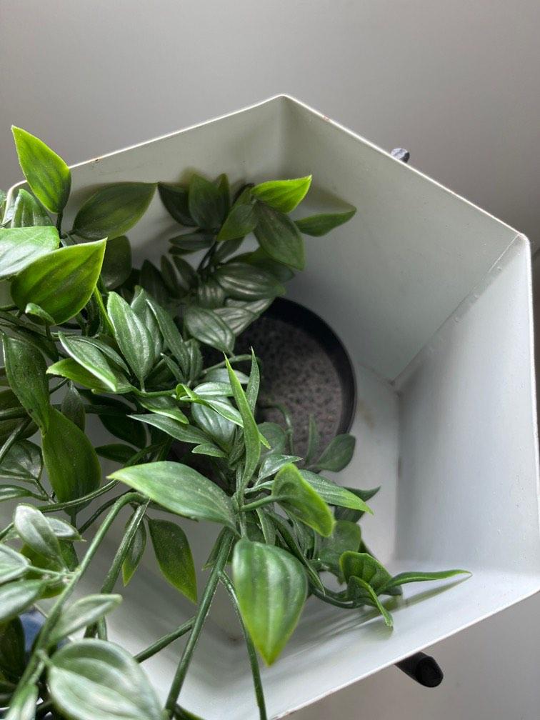 Artificial Plant and Stand, Furniture & Home Living, Gardening, Pots