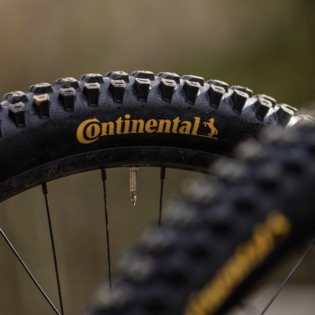 Continental 29 x best sale 2.6