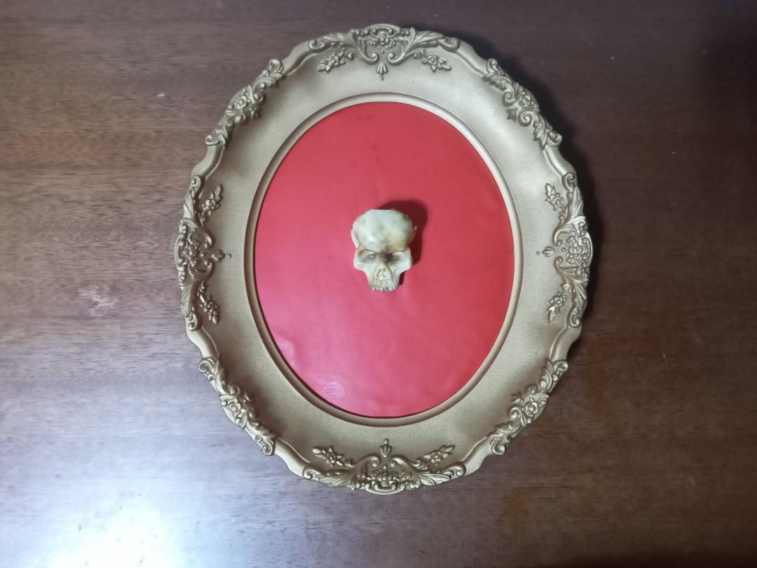 Framed skull, wall decor (Category: Wall Decor) located in San Mateo. Submitted by waynetek14 (Listing ID 1184961005, Image 1). Description: framed skull 10"×11.5" oval plastic frame item location: San Mateo, Rizal shipping: lalamove / LBC payment: Gcash.