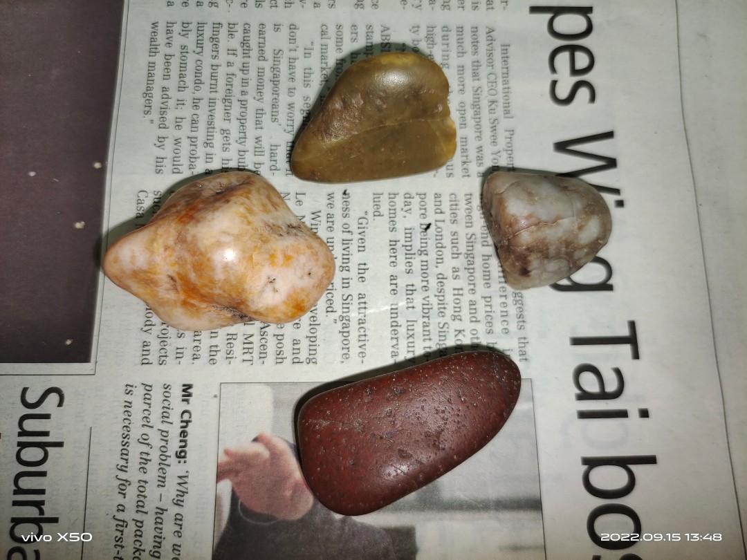 Gastroliths (dinosaur stomach stones), Hobbies & Toys, Memorabilia ...