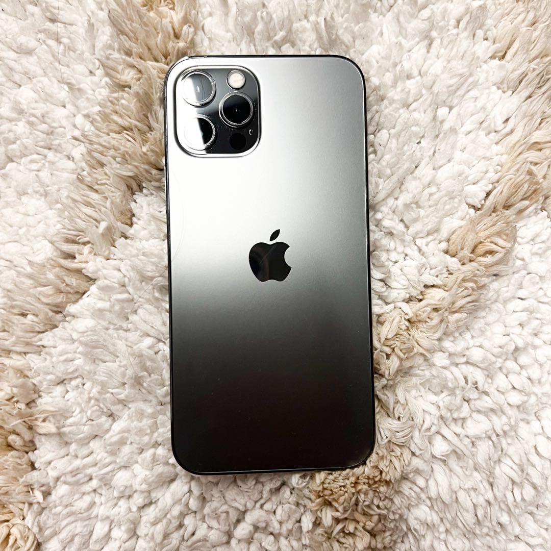 Apple iPhone 12 Pro 256GB casetify ケース付き(iPhone 12 Pro Apple iPhone 12 Pro 256GB casetify ケース付き(iPhone 12 Pro
