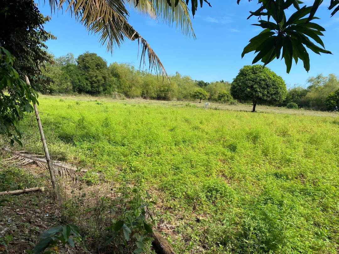 Anda Pangasinan lot for sale, Property, For Sale, House & Lot on Carousell