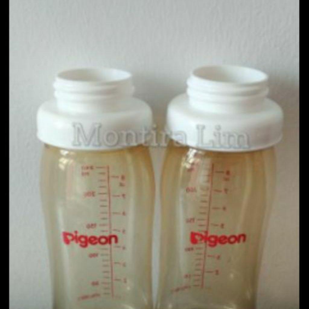 Spectra pigeon bottle discount