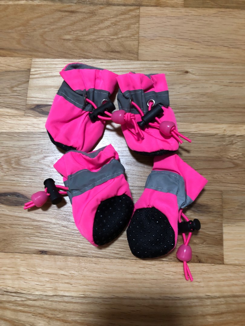 Mini dog booties, Pet Supplies, Homes & Other Pet Accessories on Carousell