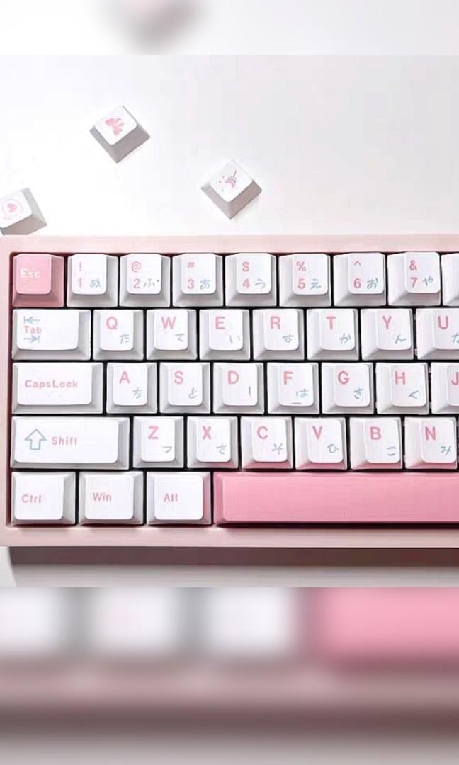 Pink Pastel Blue Keycaps 127 PBT Cherry keycaps, Computers & Tech