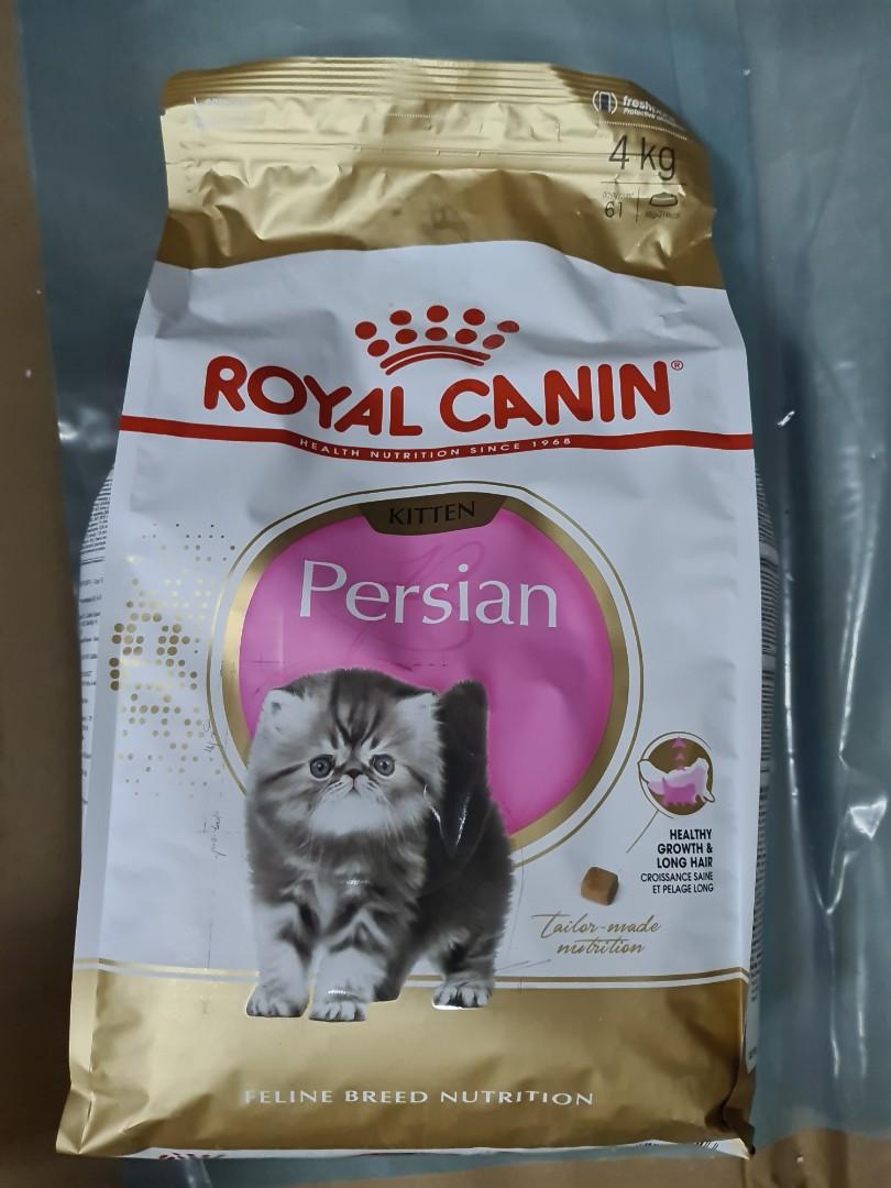 Royal canin Persian Kitten 4kg