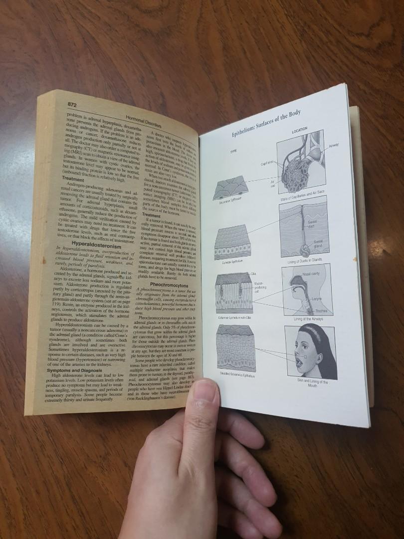 The merck manual of medical information hobbies toys books