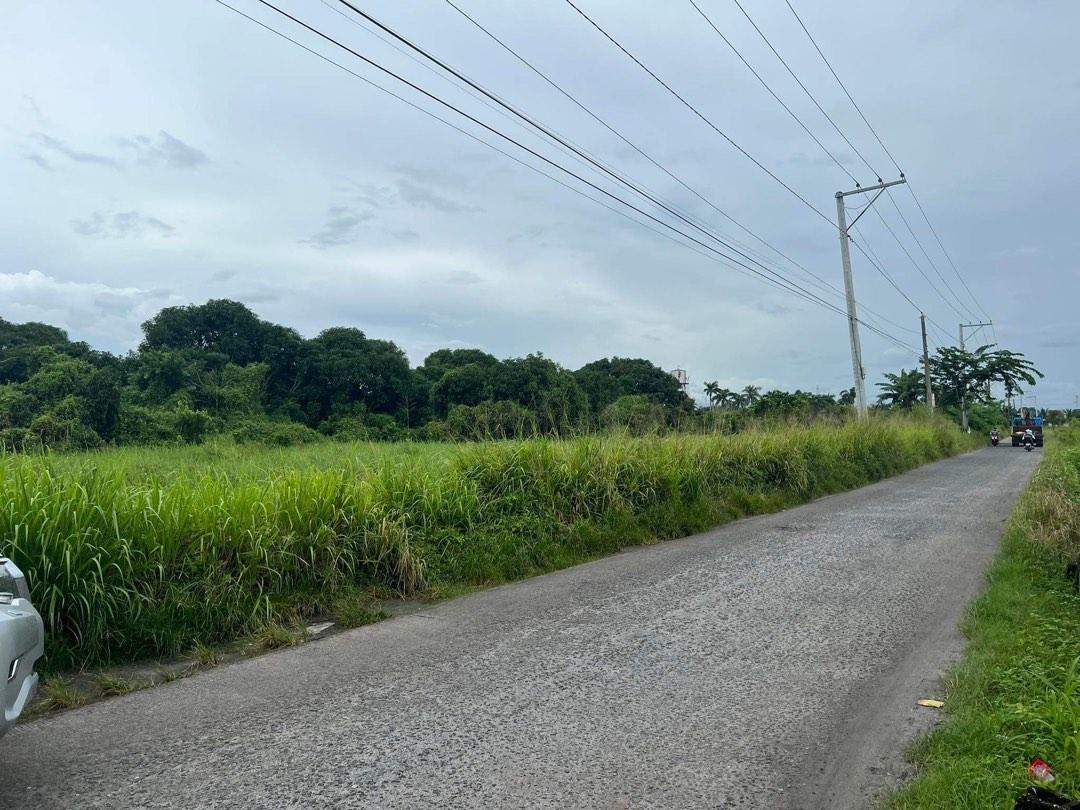 3 hectares in Magalang Pampanga, Property, For Sale, Lot on Carousell