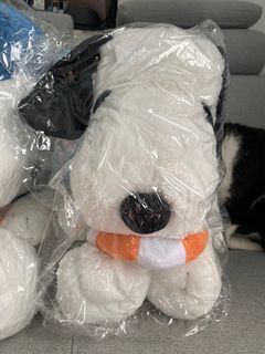 （分類：）位於 。 由 dudubb 提交（商品編號 1183624933，圖片 1）。簡介： 。