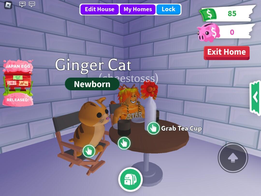 Adopt me ginger cat stock 2, Video Gaming, Gaming Accessories, InGame