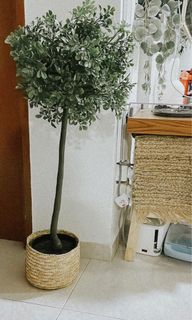 (Category: ) located in . Submitted by Ksfavourite (Listing ID 1185198509, Image 1). Description: .