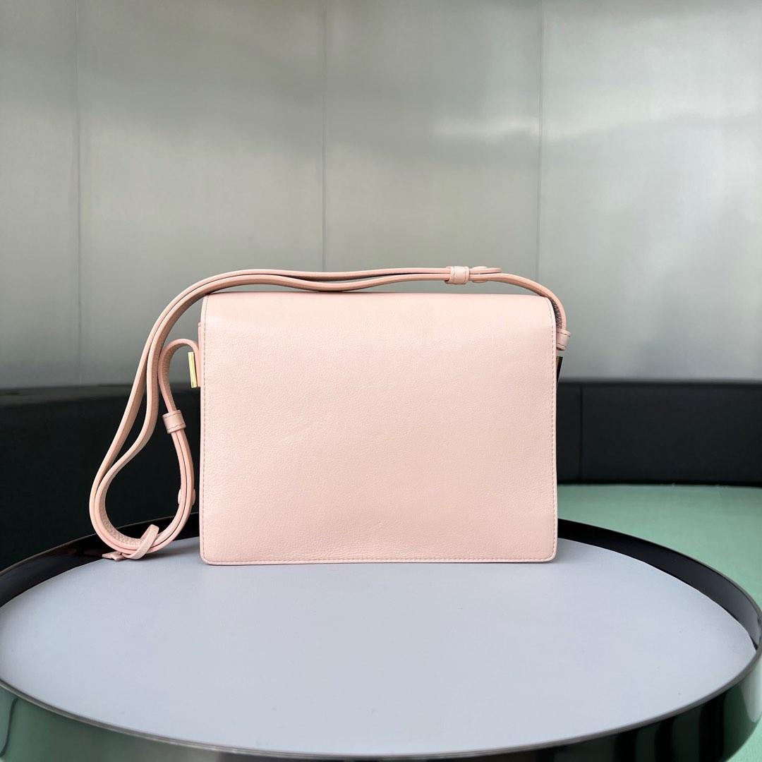 Delvaux Madame PM Pink Hardware Crossbody Bag