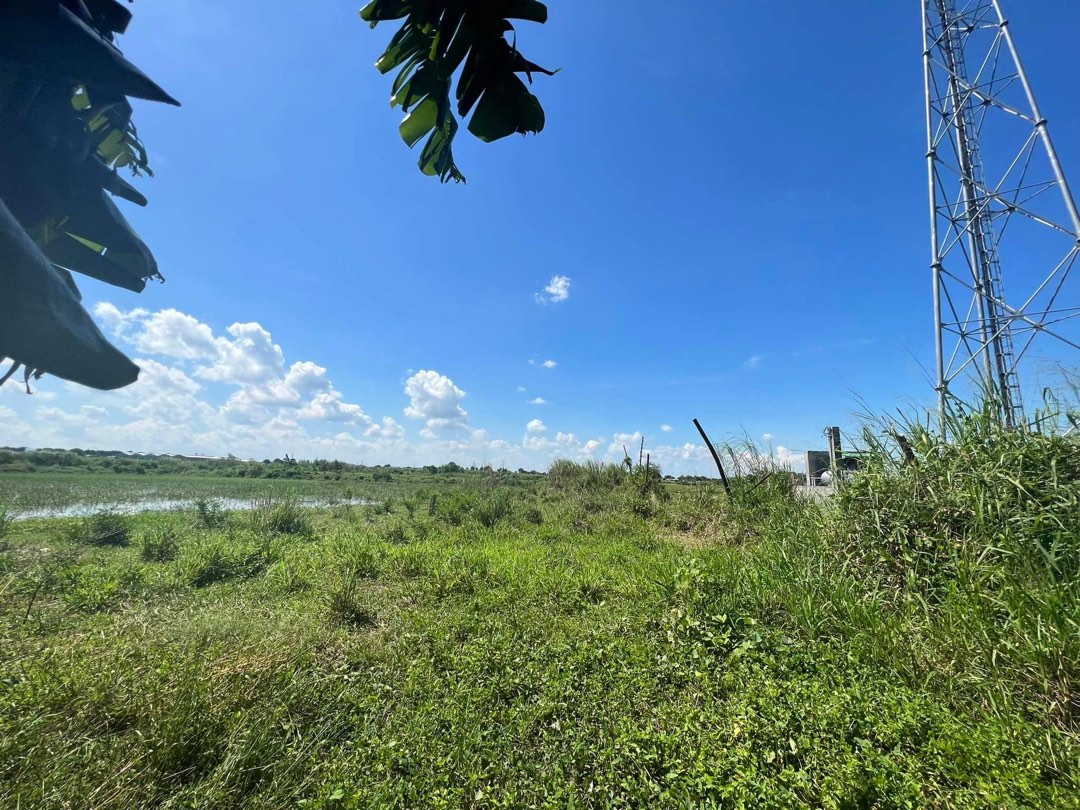 Farmlot for sale in Bical Mabalacat Pampanga 2.5 hectares, Property