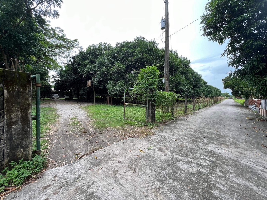 Farmlot in Sta Lucia Magalang Pampanga 4.1 hectares, Property, For Sale