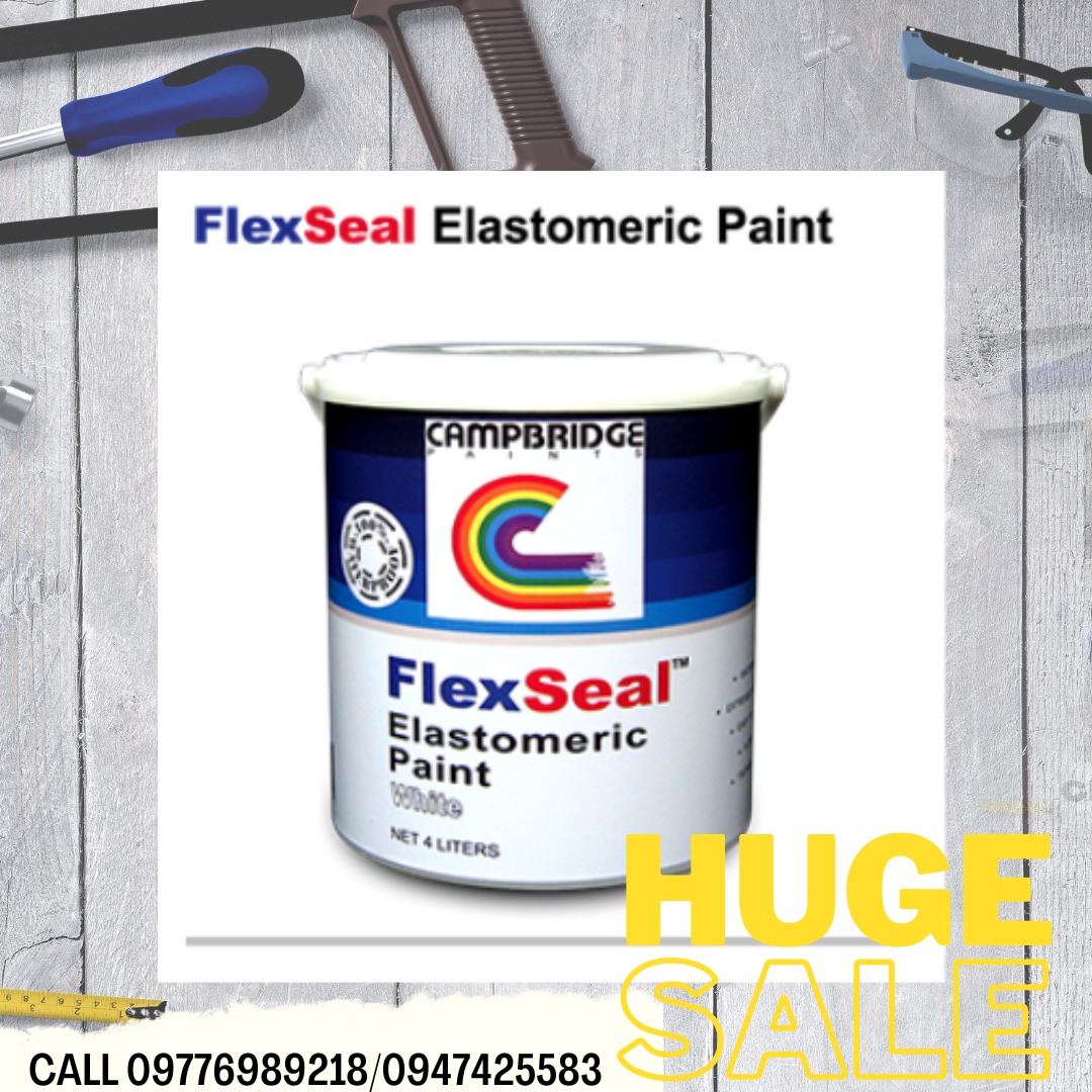 FLEXSEAL ELASTOMERIC PAINT, Commercial & Industrial, Construction