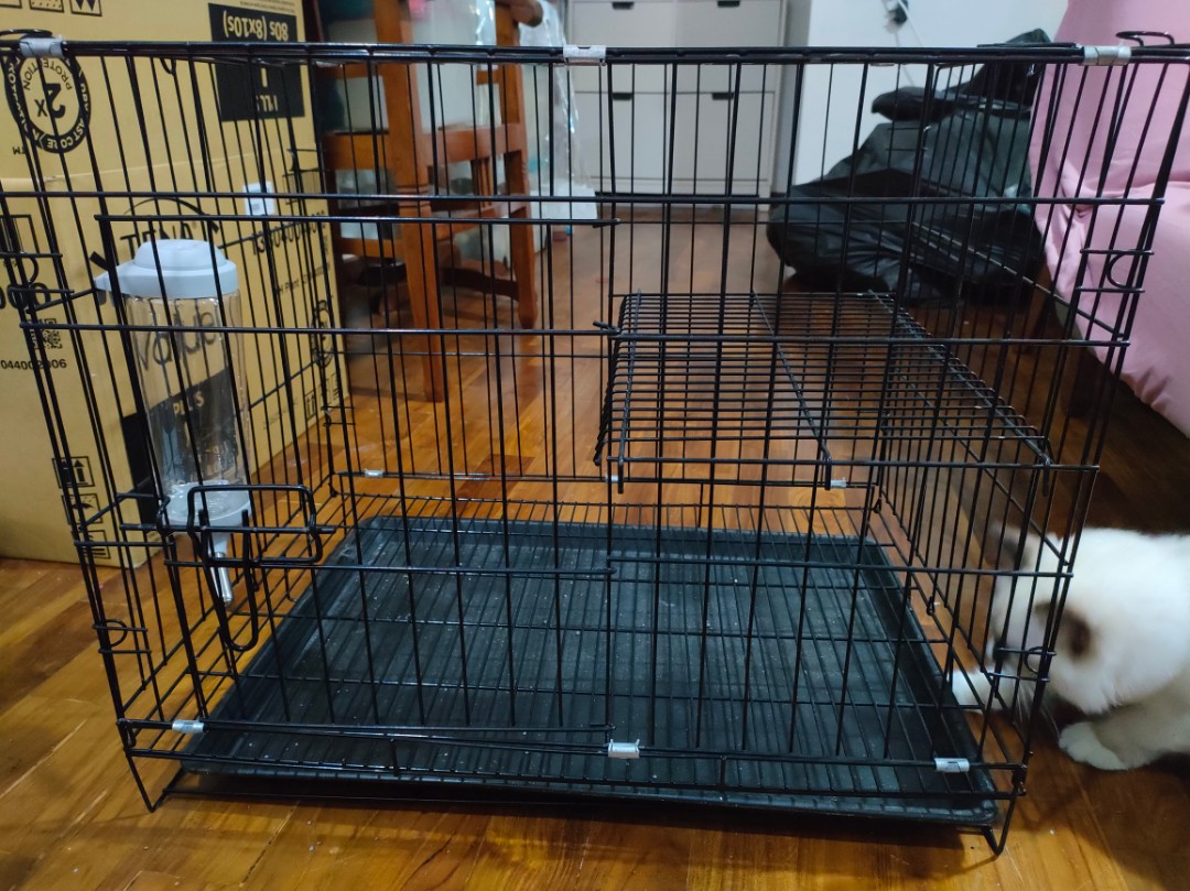 kitten cage