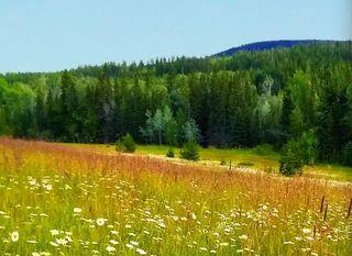 Martinson, Barnhartvale acreage