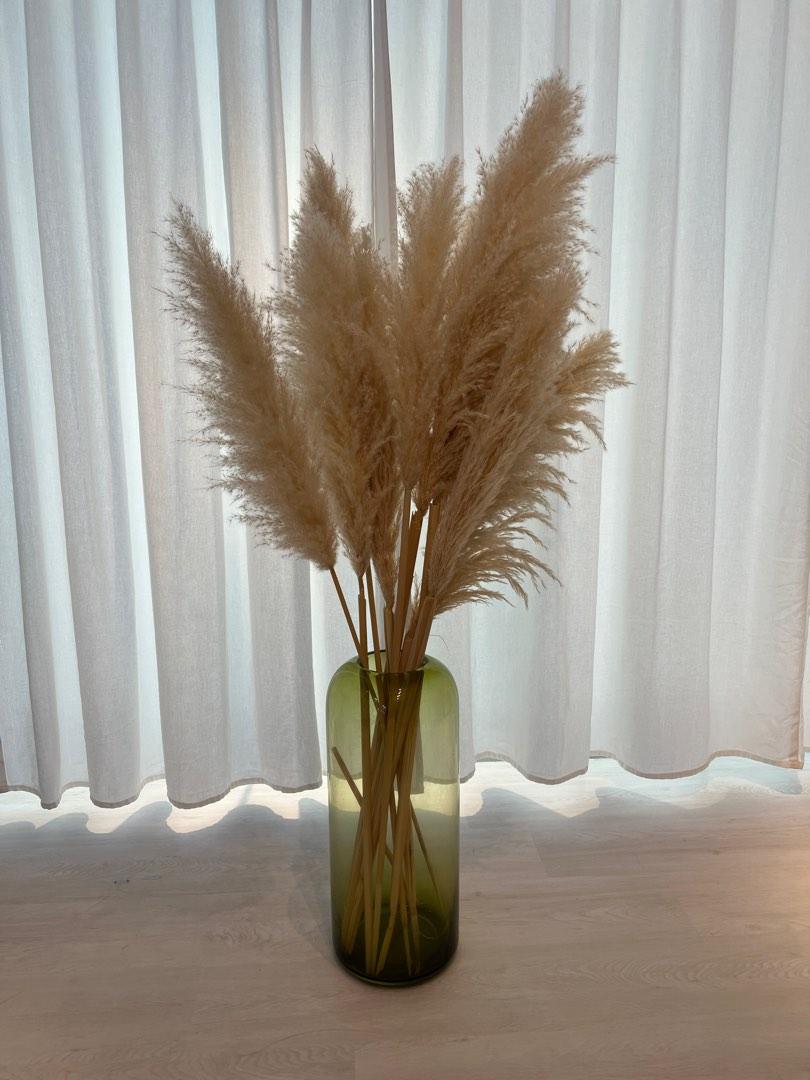 Pampas Grass (Vase NOT included), Furniture & Home Living, Home Decor