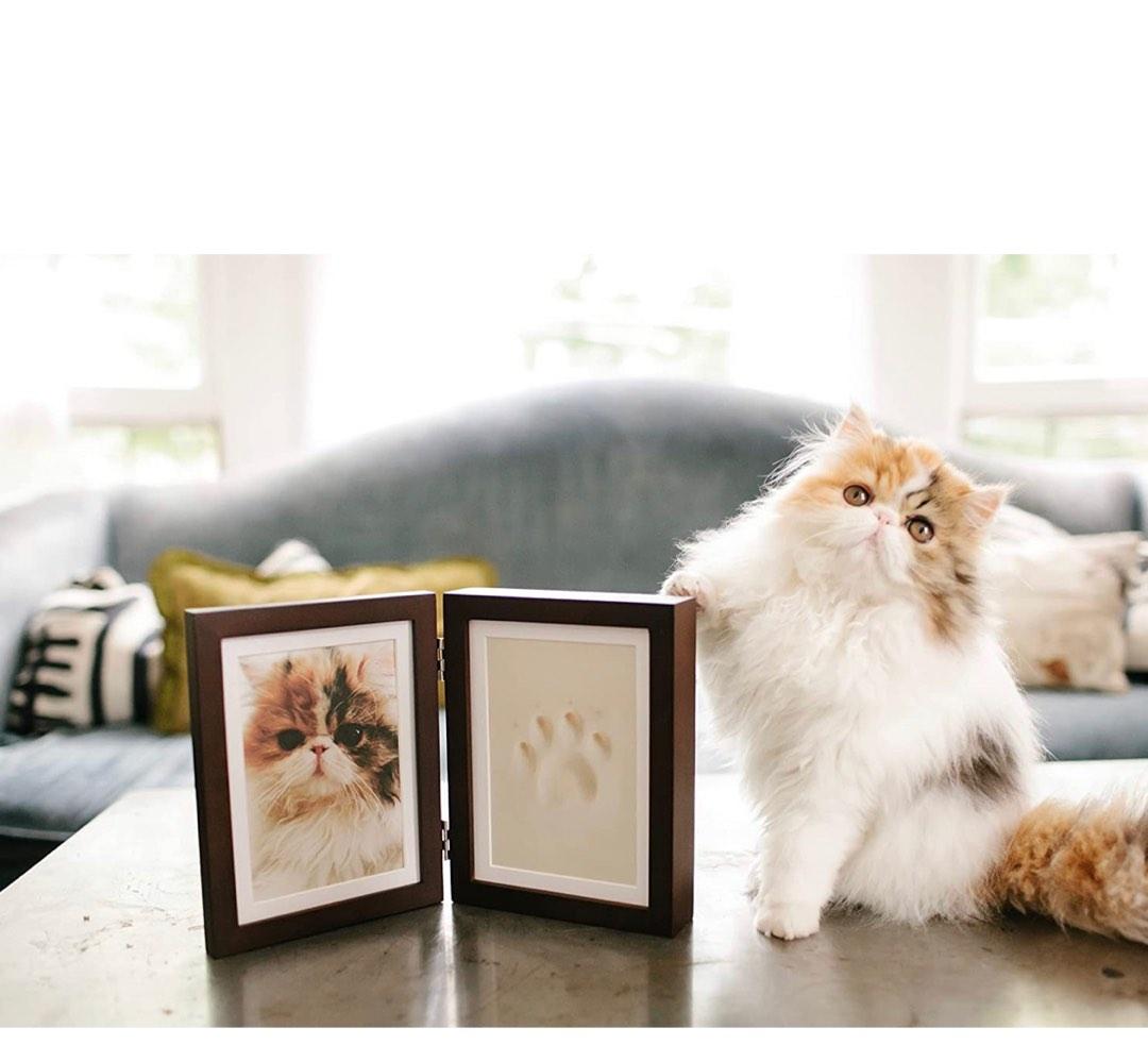 Cat Pet Paw Print Pawprints Kit Solid Oak Picture Frame Set Kitten + Mount