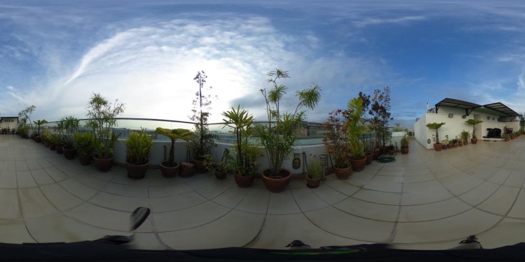 Penthouse for Rent at Waterview Near United World College UWC, Temasek