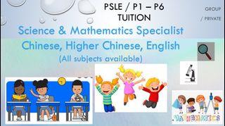 Tuition, tutor at Clementi - Science and Chinese Specialist