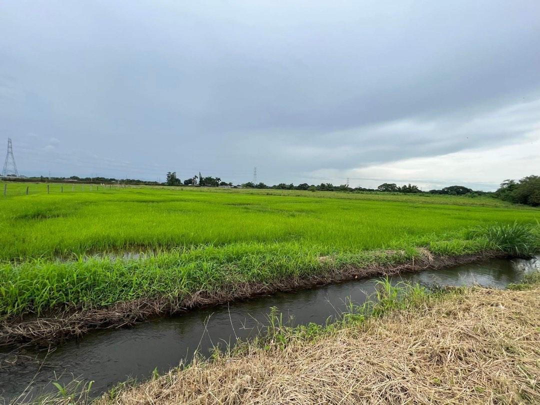 Rawland for Sale in Magalang Pampanga 3.75 hectares, Property, For Sale