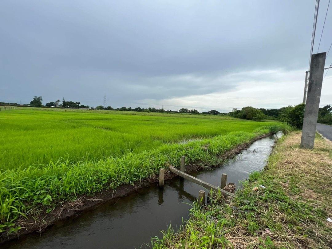 Rawland for Sale in Magalang Pampanga 3.75 hectares, Property, For Sale