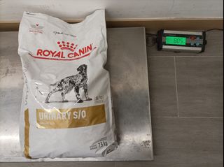 （分類：）位於 。 由 pawscharity 提交（商品編號 1185264707，圖片 1）。簡介： 。