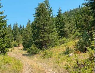 Treed acreage in Barriere for SALE!