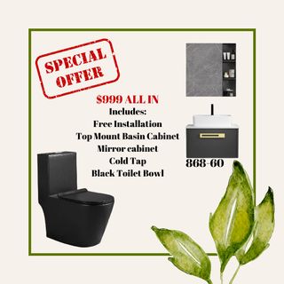 Toilet Bowl and Basin Cabinet Package Collection item 1