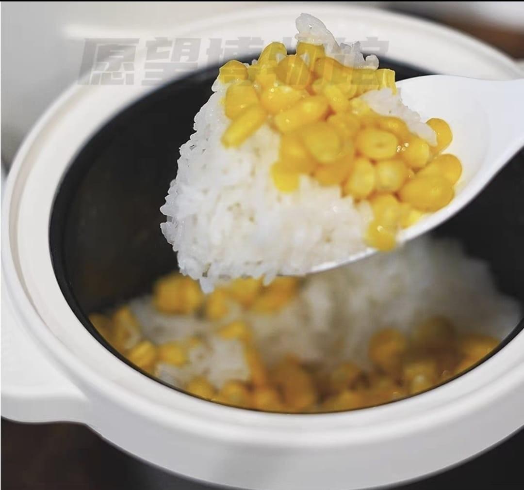 Japan BRUNO 1.2L Mini Rice Cooker., TV & Home Appliances, Kitchen ...