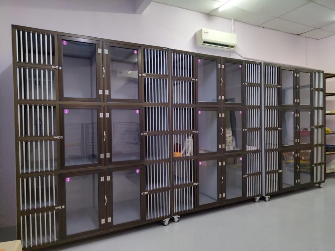 Cat Hotel and Spa Jitra, Pet Supplies, Homes & Other Pet Accessories on