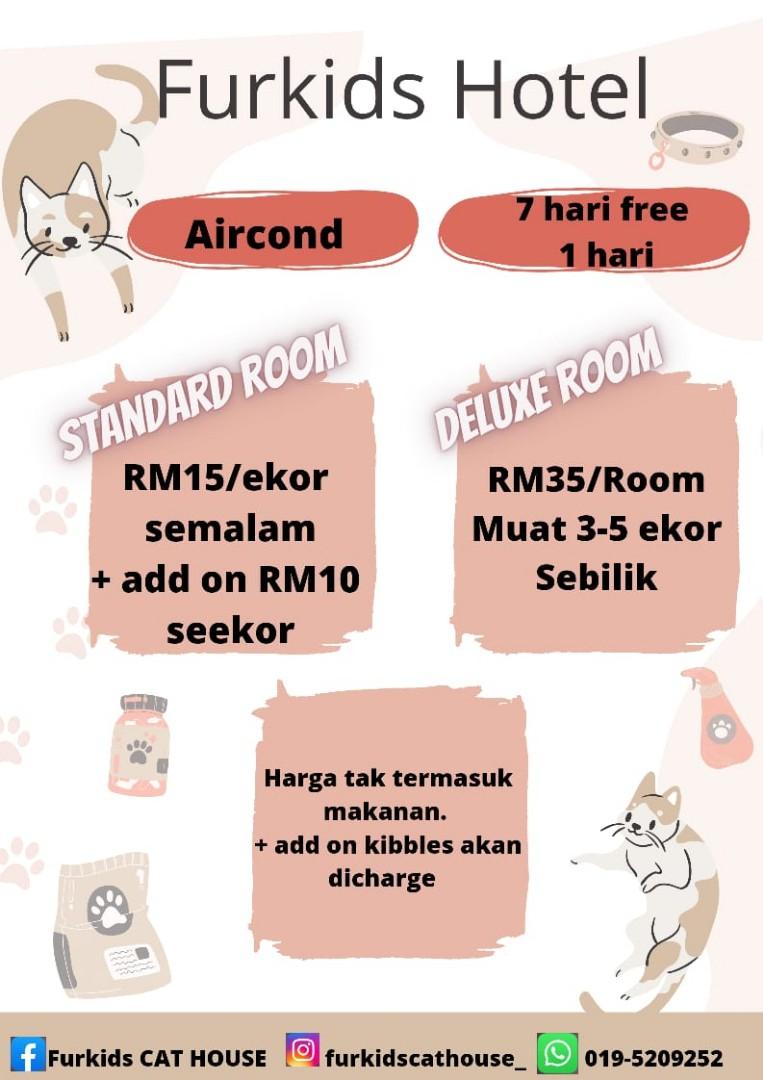 Cat Hotel and Spa Jitra, Pet Supplies, Homes & Other Pet Accessories on